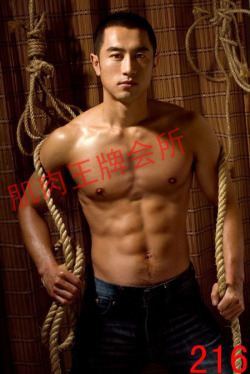 plawhawished:  http://plawhawished.tumblr.com is the Asian Handsome Man.    