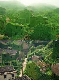 upupupuprincess:    Abandoned Chinese Fishing Village Being Swallowed By Nature   