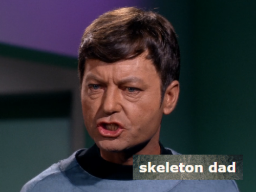 onedamnminuteadmiral: Star Trek: TOS + Aesthetic Generator Bonus: