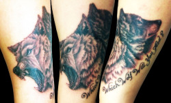 wolveswolves:  theperksofbeingawerewolf submitted:  I’m a tattoo artist…this is one of my favorite pieces that I tattooed on a friend of mine  