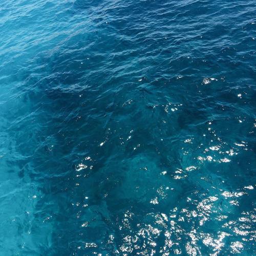 kiwi-tropicali: ✌ Blue skies, clear waters ✌