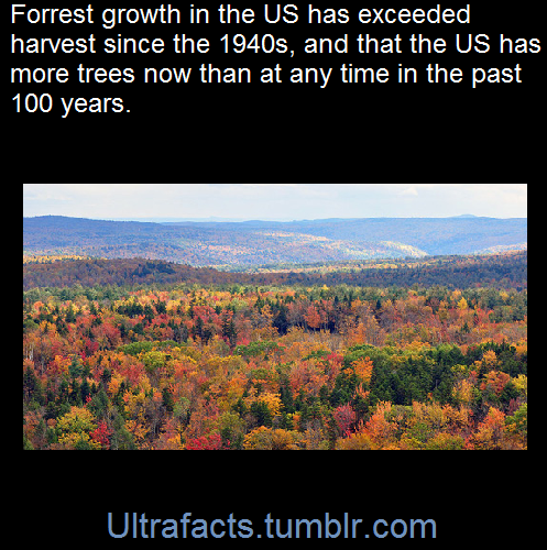 ultrafacts:    In the United States, which contains 8 percent of the world’s forests,