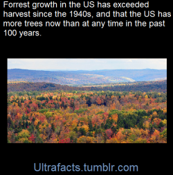 ultrafacts:    In the United States, which