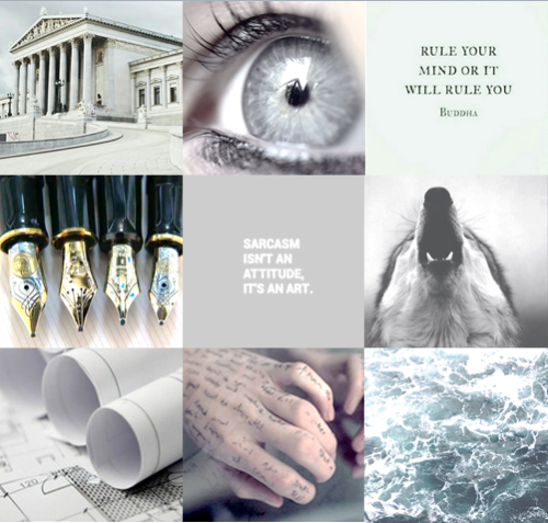 Cancer Intj Ravenclaw Wampus with wolf patronus aesthetic for @nerdydestinycollector