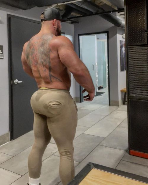 cdngymrat:  That ass. Damn.