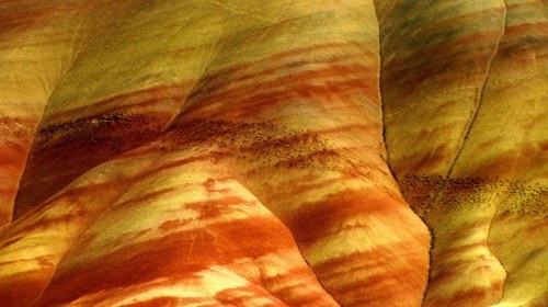 Walking over AshThese brilliantly colored layers are found in Oregon’s John Day Fossil Beds Na