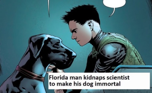 Batfamily + Florida Man