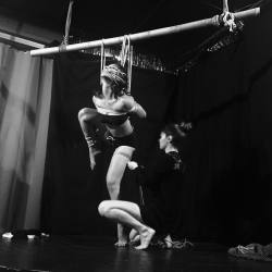 kirigamikinbaku:  QG &amp; tenshiko #shibarinight #ropes #performace #milan #blackout #abbraccidicorde #qg #bn #bondage #shibari 