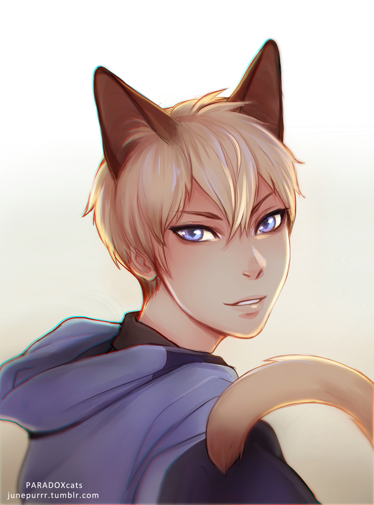 Material Weakness Siamese Catboy