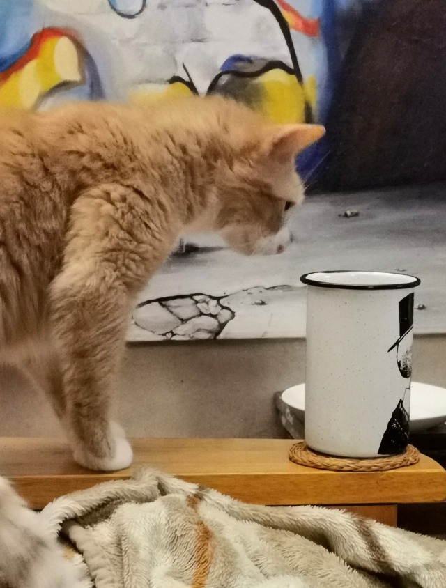 Nick stalks the cup of water... 