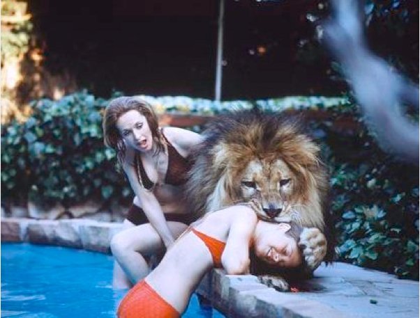soyuncharizard:   Tippi Hedren and family living with a pride of lions.  de que porte