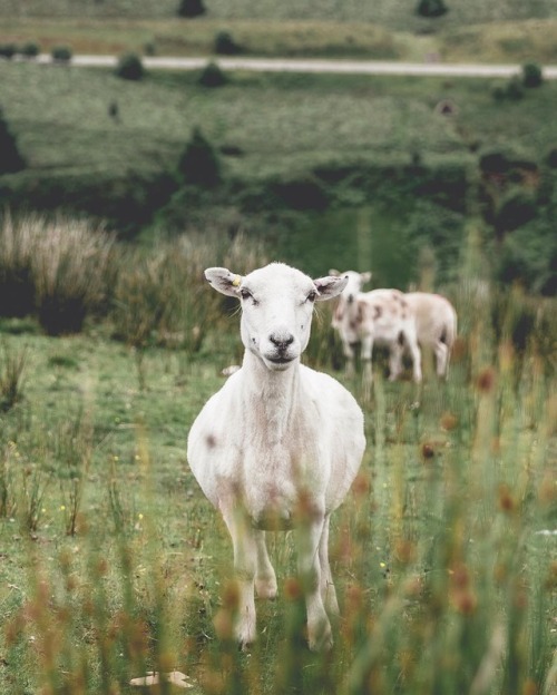 Brecon Beacons, Elliot Cooper