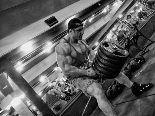 Reza Zinatlou
