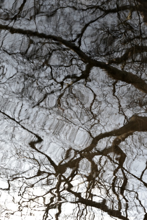 making all things dimly beautiful