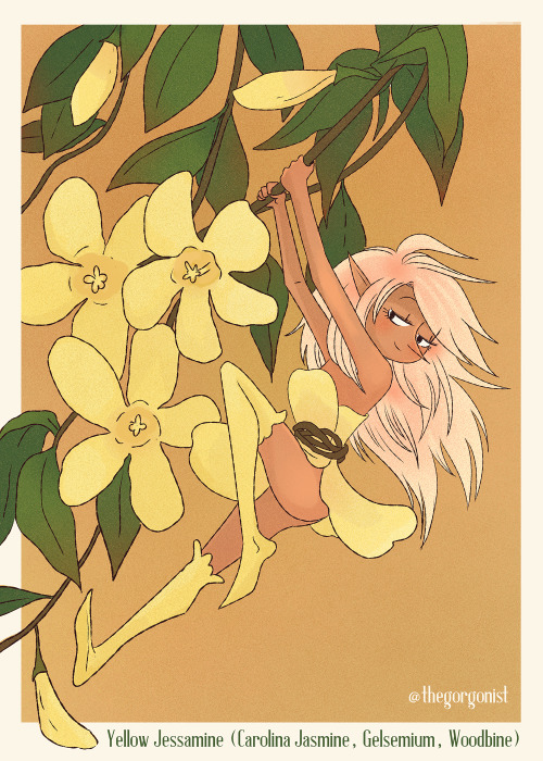 Days 28 and 29 of my Poisonous Flower Fairy series are Xanthium (aka Cocklebur) and Yellow Jessamine