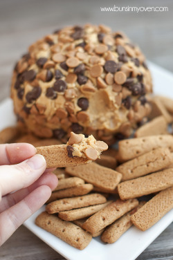 guardians-of-the-food:Peanut Butter Cheese