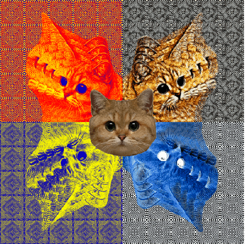 faltariamaspuntocom:  Gato drogata