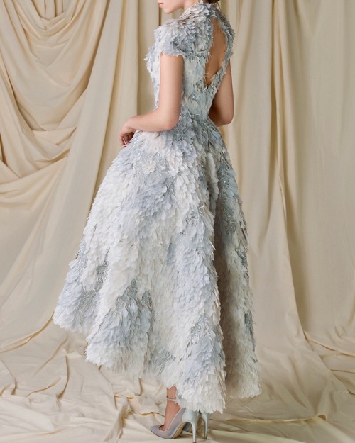 lacetulle: Paolo Sebastian | The Wild Swans