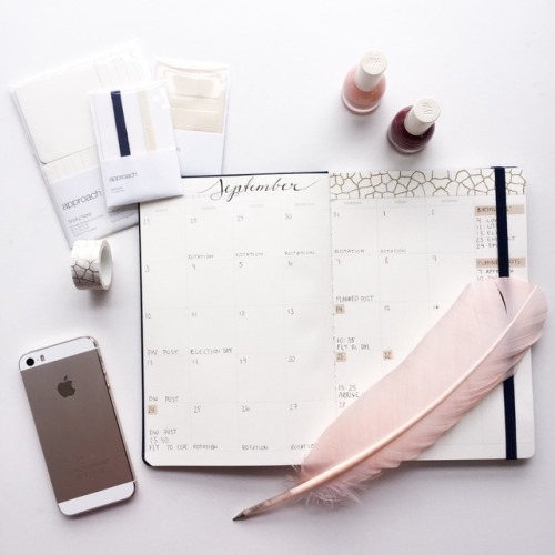 studydiaryofamedstudent:approach planner