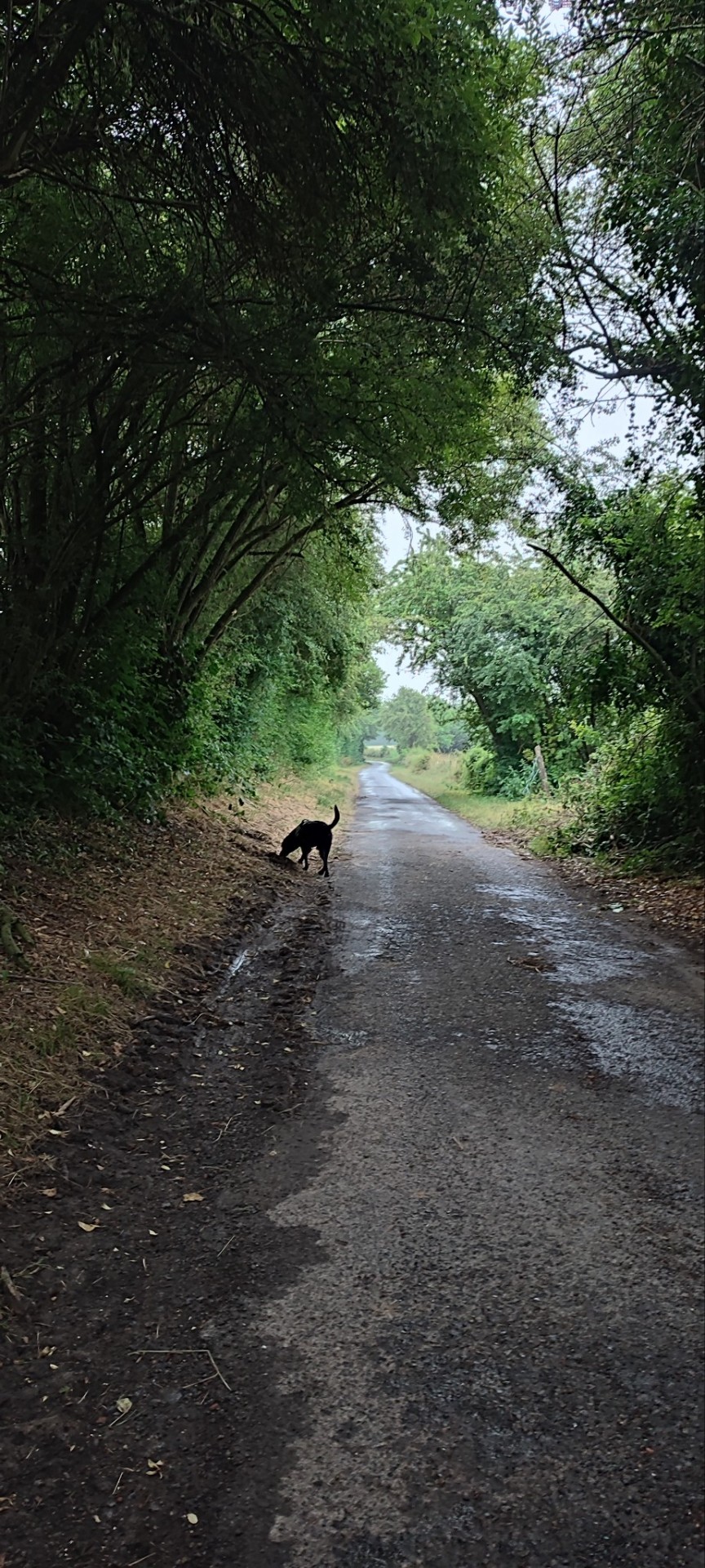 Sometimes The Best Thing In The World Is Just To Enjoy The Countryside With My Dog... 