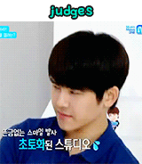 ksgyu:  Infinite Zoo 