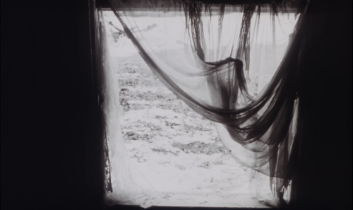 punlovsin: Andrei Tarkovsky