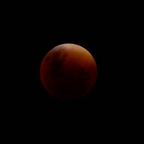 #eclipse #moon #supereclipsetn #picture #picoftheday #pic #instagram #image #imageoftheday #photogra