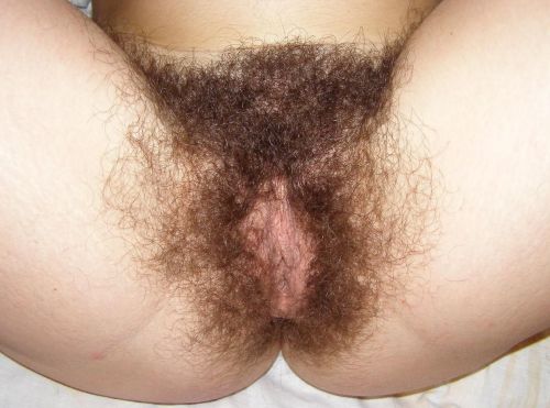 allhairygirls:  Another perfect hairy pictures at http://allhairygirls.tumblr.com/archive 