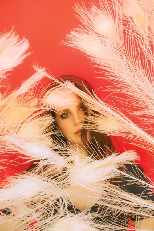 goddess-of-hookers:Lana Del Rey photographed by Neil Krug for Ultraviolence(2014)