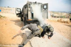 In-The-Midst-Of-Winter:  Idf Cowards Accidentally Tear-Gas Themselves Before Their