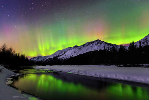 nubbsgalore:  aurora over alaska by lava light galaries (x, x, x)  