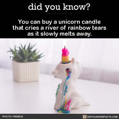 did-you-kno: You can buy a unicorn candle that cries a river of rainbow tears as