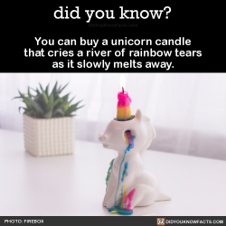 did-you-kno: You can buy a unicorn candle