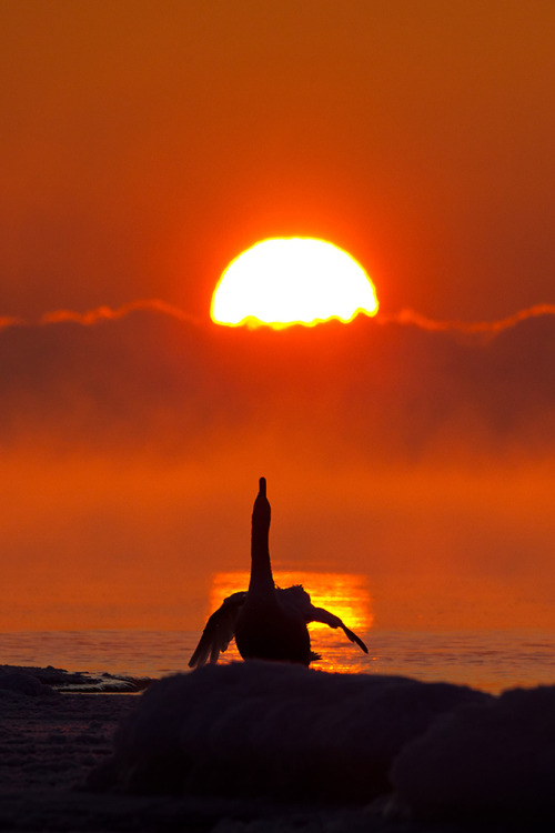 l0stship:  missing the sun / by Mikko Lönnberg