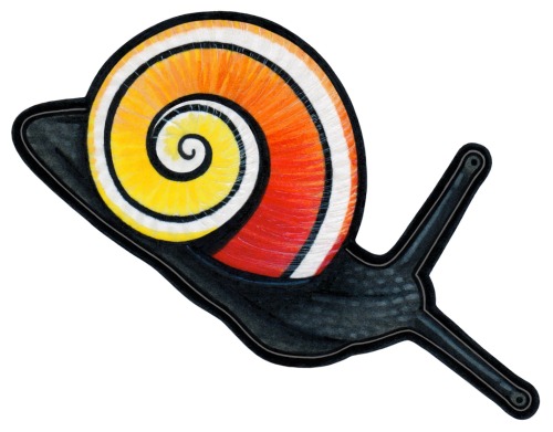 Cuban Painted Snail (Polymita picta)These stunning Cuban snails have brightly-colored shells that al