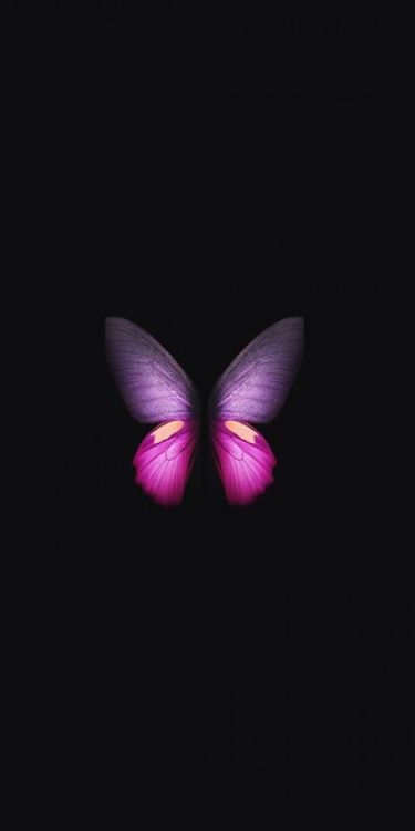 Samsung Galaxy Fold, pink-purple Butterfly, minimal, 1080x2160 wallpaper @wallpapersmug : if