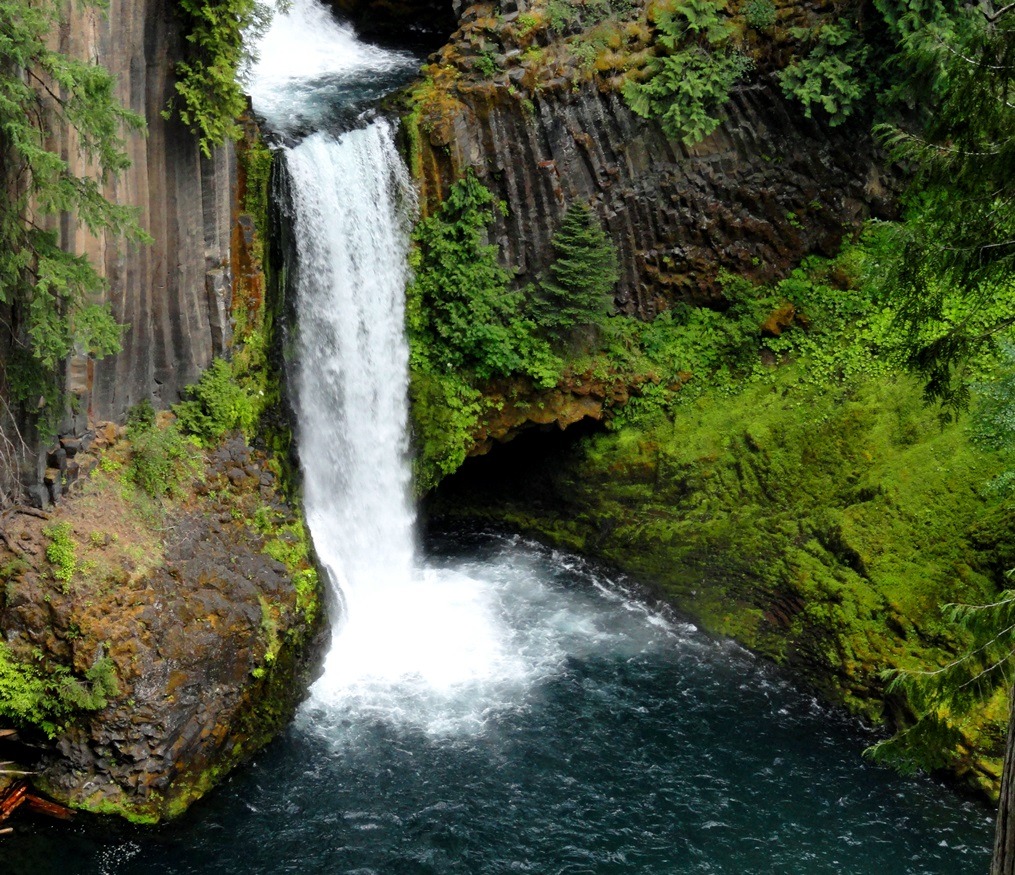 earthen-empress:  wyeasttokaala: Toketee Falls Trail Along Umpqua Highway (OR-138)