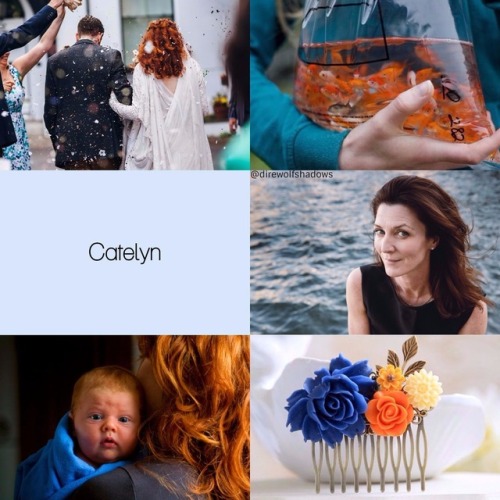 direwolfshadows: Ned and Catelyn Modern AU aesthetic for @clevercloudpoetry, thank you for the reque