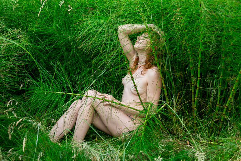 dianajeano:  The Marshes NW Photography  Diana Jean Oliphant