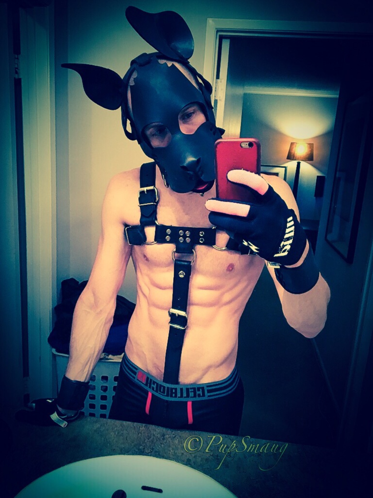 kinkyboyfrance:  pupsmaug:  🐶Arooo. Pup having a great new year. Wags to all my