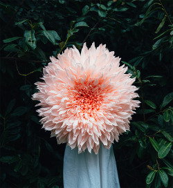 asylum-art:  Giant Paper Flowers by Tiffanie