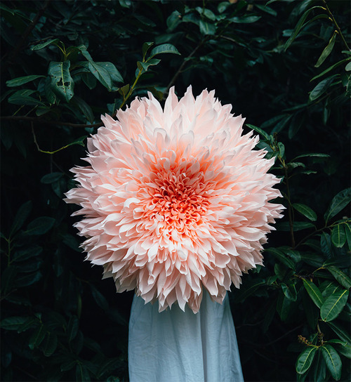 Porn asylum-art:  Giant Paper Flowers by Tiffanie photos