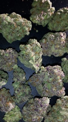 therealsmokeyyyy:  Strain: Pokie