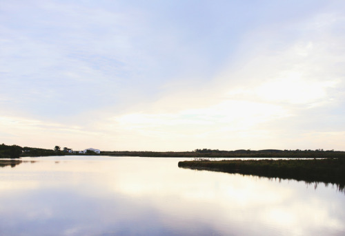 melodyandviolence:    A Trip To Ile de Ré by   Christine Kim  