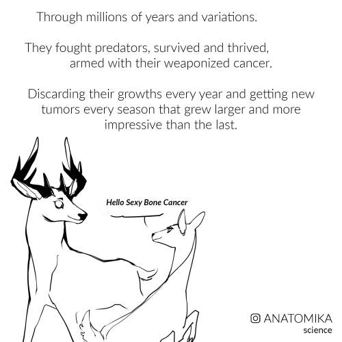 Sex arsanatomica:  #WEAPONIZEDCANCER  Other pictures