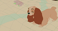 gayleykiyoko-archive: Get to know me meme: 19/20 animated movies » Lady and the