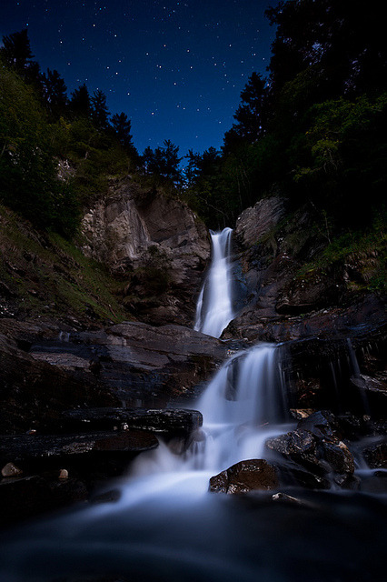 tulipnight:  untitled by klOrklOr on Flickr.