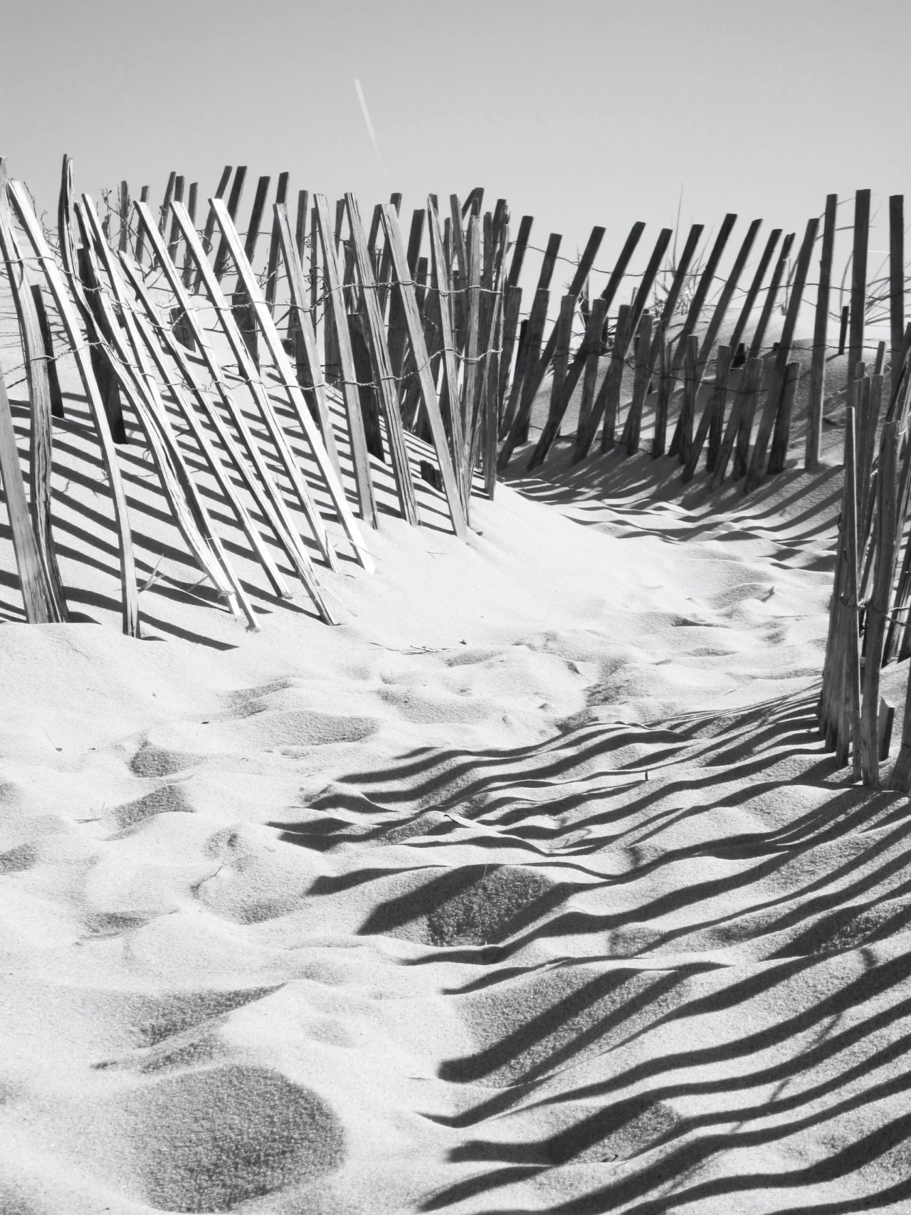 Foto Bianco E Nero