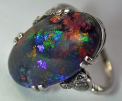 daughterofchaos:  Magnificent Black Opal