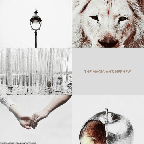 The Chronicles Of Narnia  [x] “One day, you will be old enough to start reading fairytales again.”